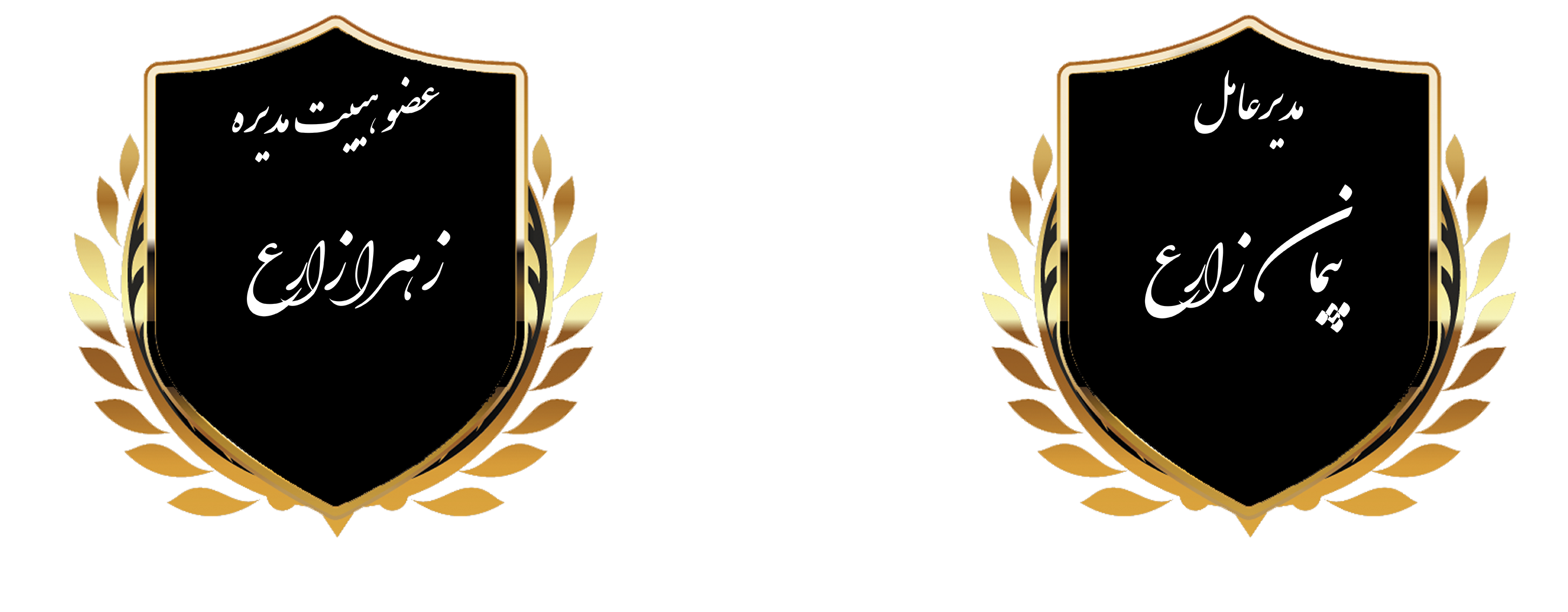 مهندس پیمان زارع